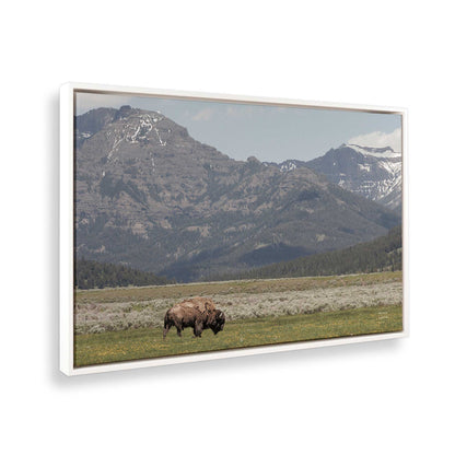 [Color:Opaque White], Picture of the corner of the art