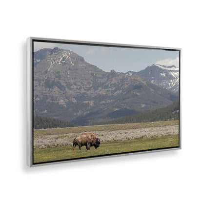 [Color:Polished Chrome], Picture of the corner of the art