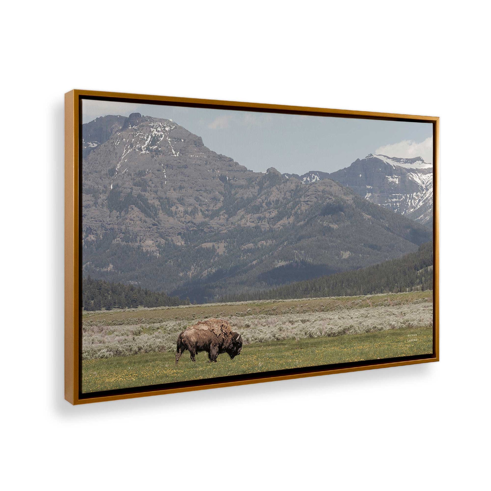 [Color:Polished Gold], Picture of the corner of the art