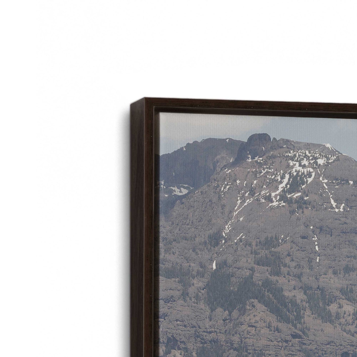 [Color:Espresso], Picture of art in a Espresso frame at an angle