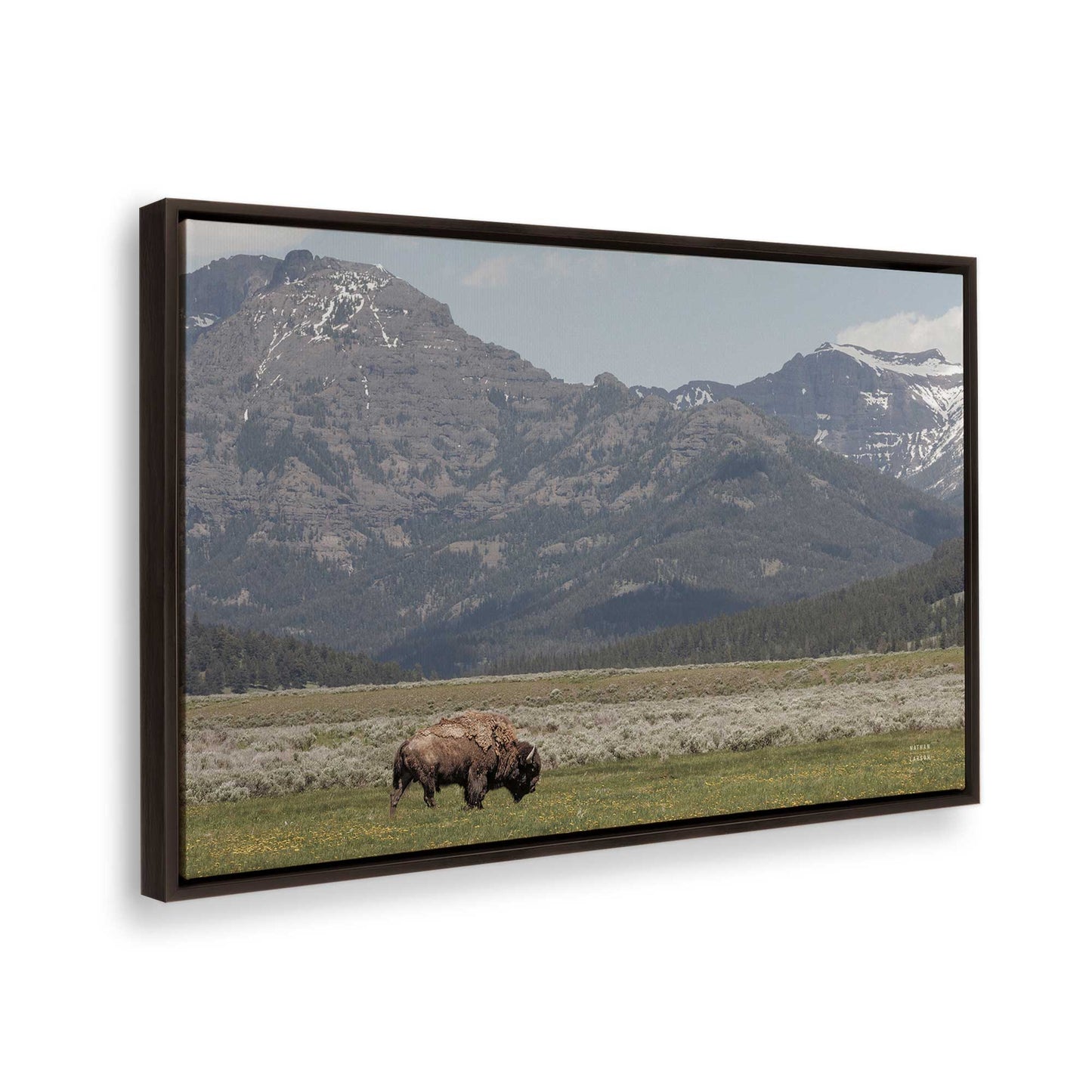 [Color:Espresso], Picture of the corner of the art