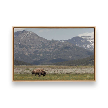 [Color:American Maple], Picture of art in a American Maple frame