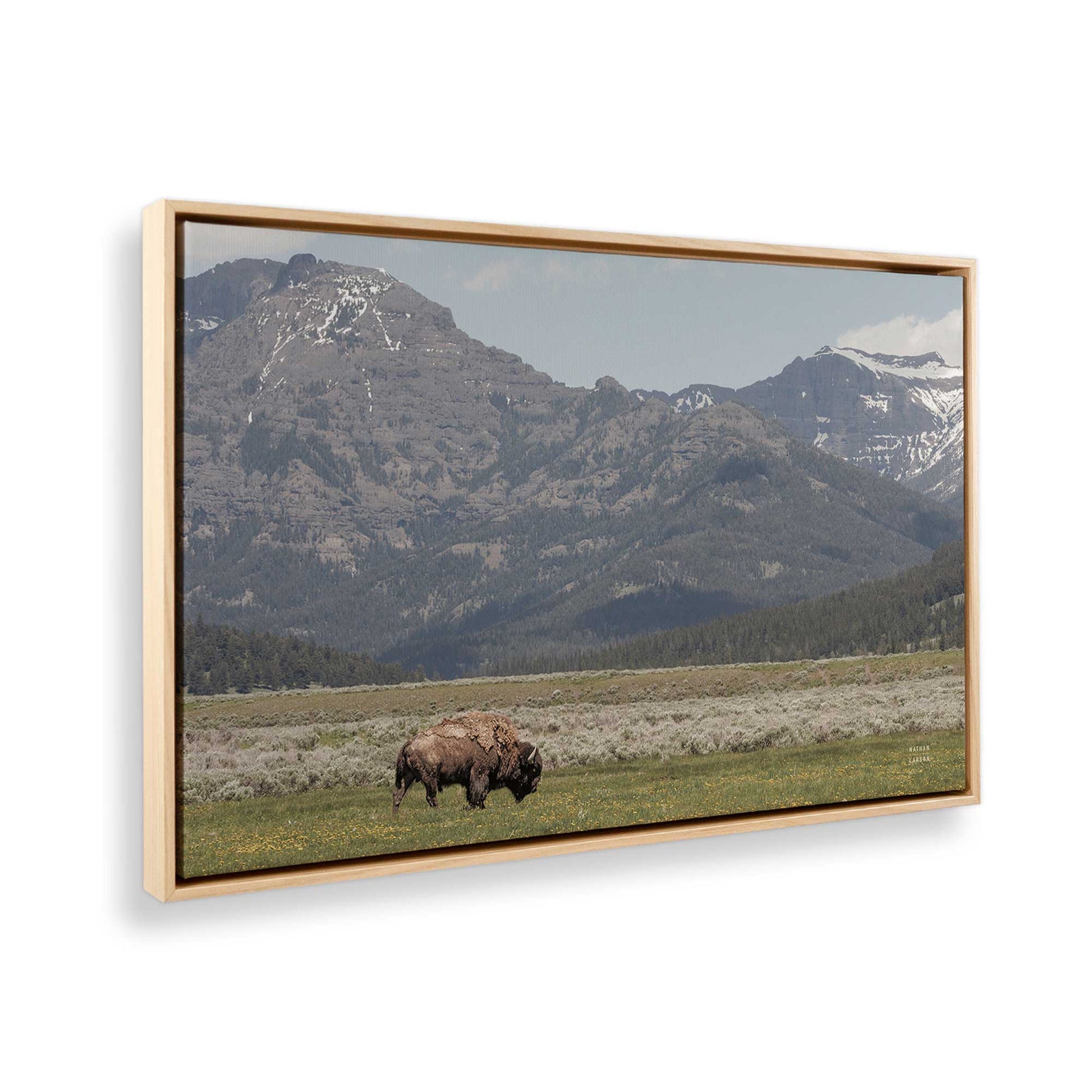 [Color:American Maple], Picture of the corner of the art