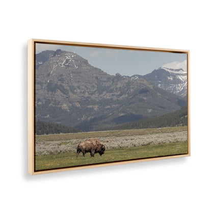 [Color:American Maple], Picture of the corner of the art