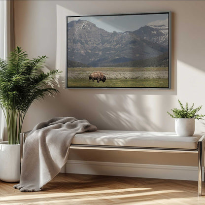 [LIFESTYLE],[SPECIAL],