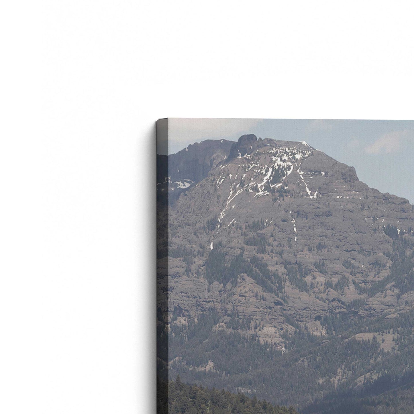 [Color:Stretched Canvas], Picture of the corner of the art