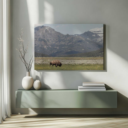 Picture of art in a room