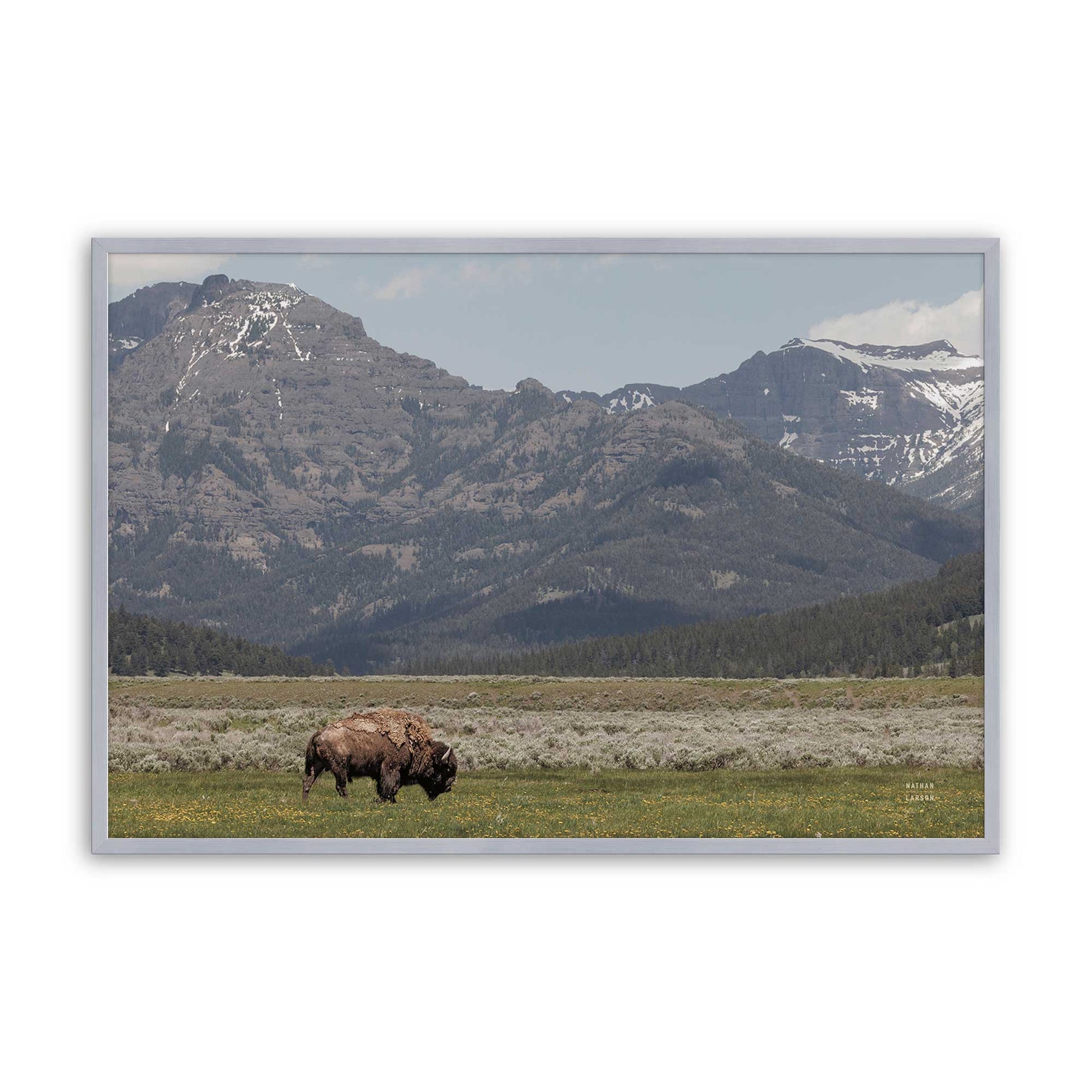 [Color:Polished Chrome], Picture of art in a Polished Chrome frame
