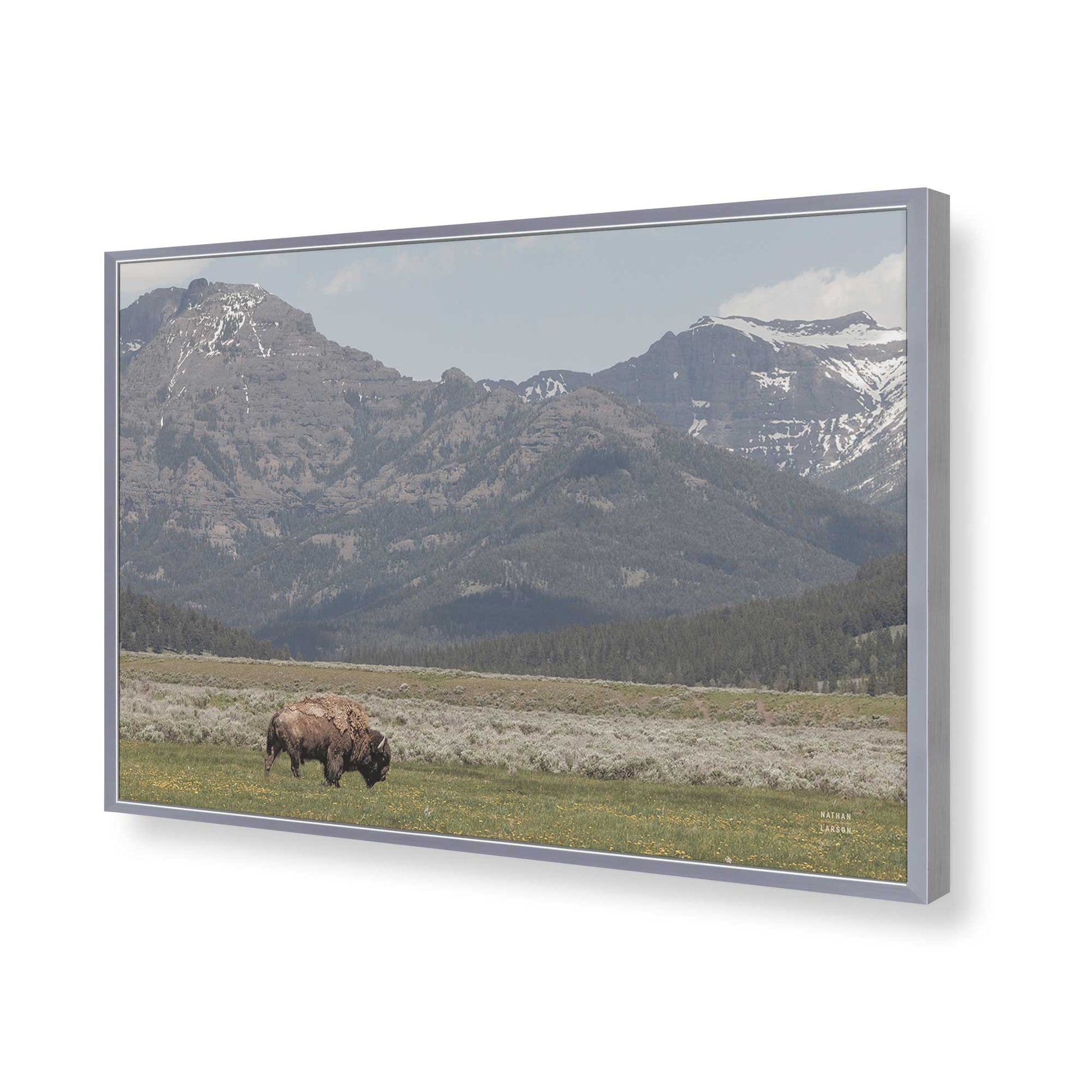 [Color:Polished Chrome], Picture of art in a Polished Chrome frame of the corner