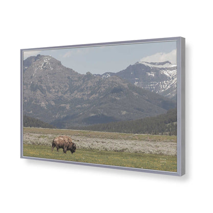 [Color:Polished Chrome], Picture of art in a Polished Chrome frame of the corner