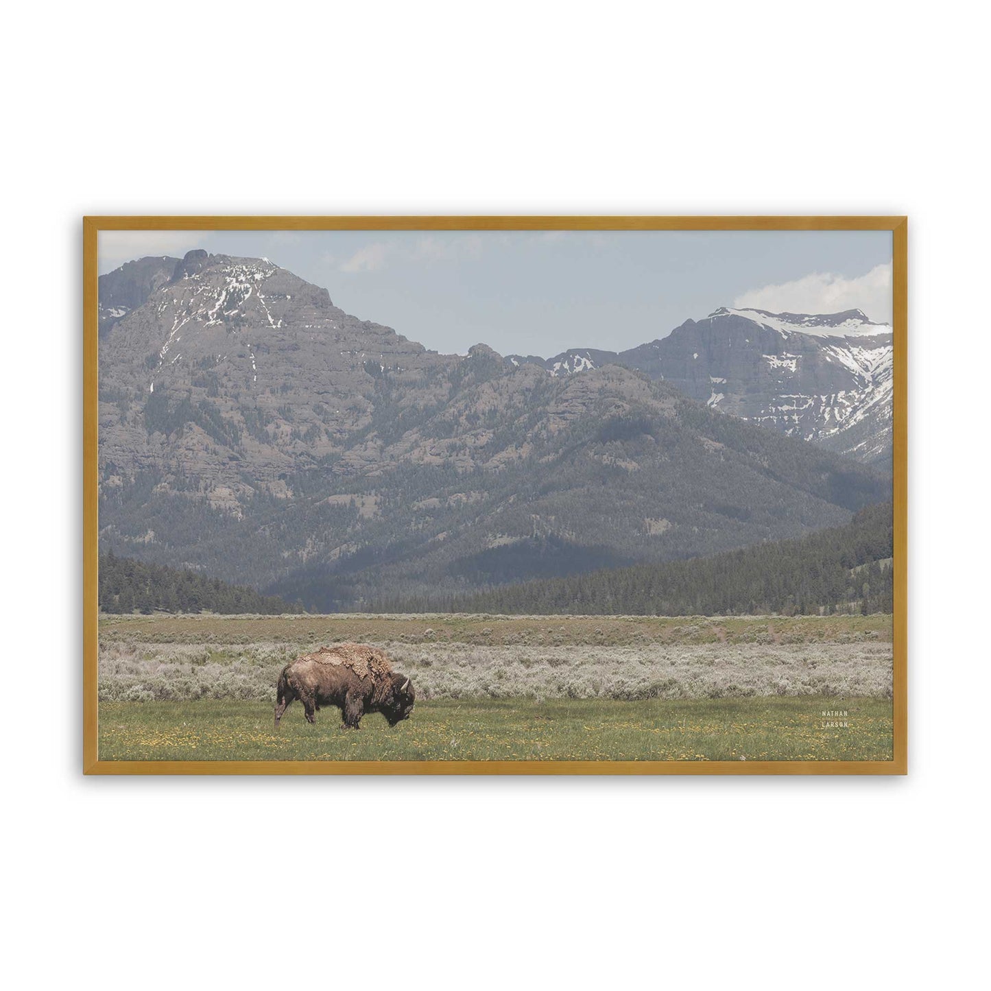 [Color:Polished Gold], Picture of art in a Polished Gold frame