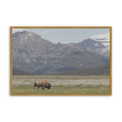 [Color:Polished Gold], Picture of art in a Polished Gold frame