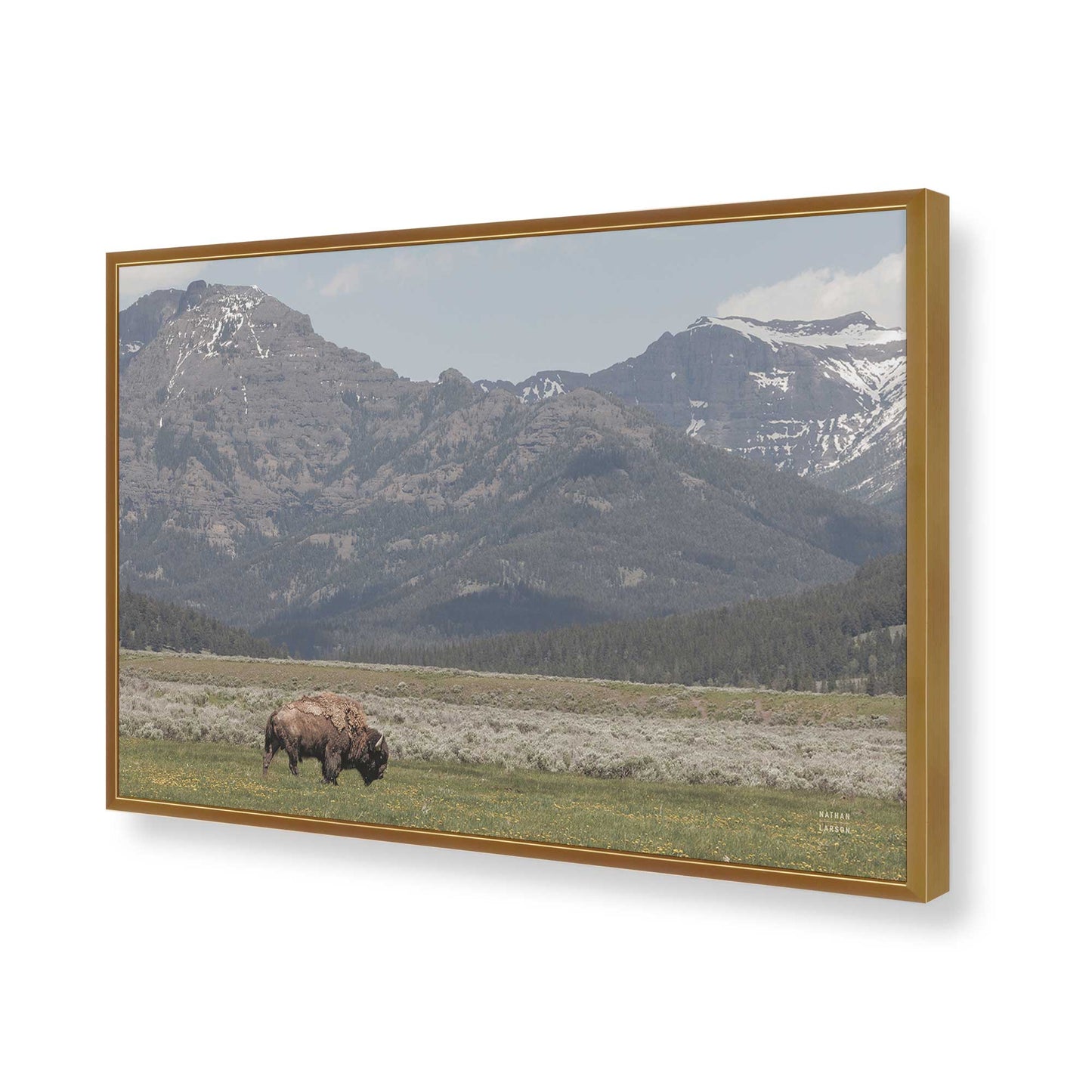 [Color:Polished Gold], Picture of art in a Polished Gold frame of the corner