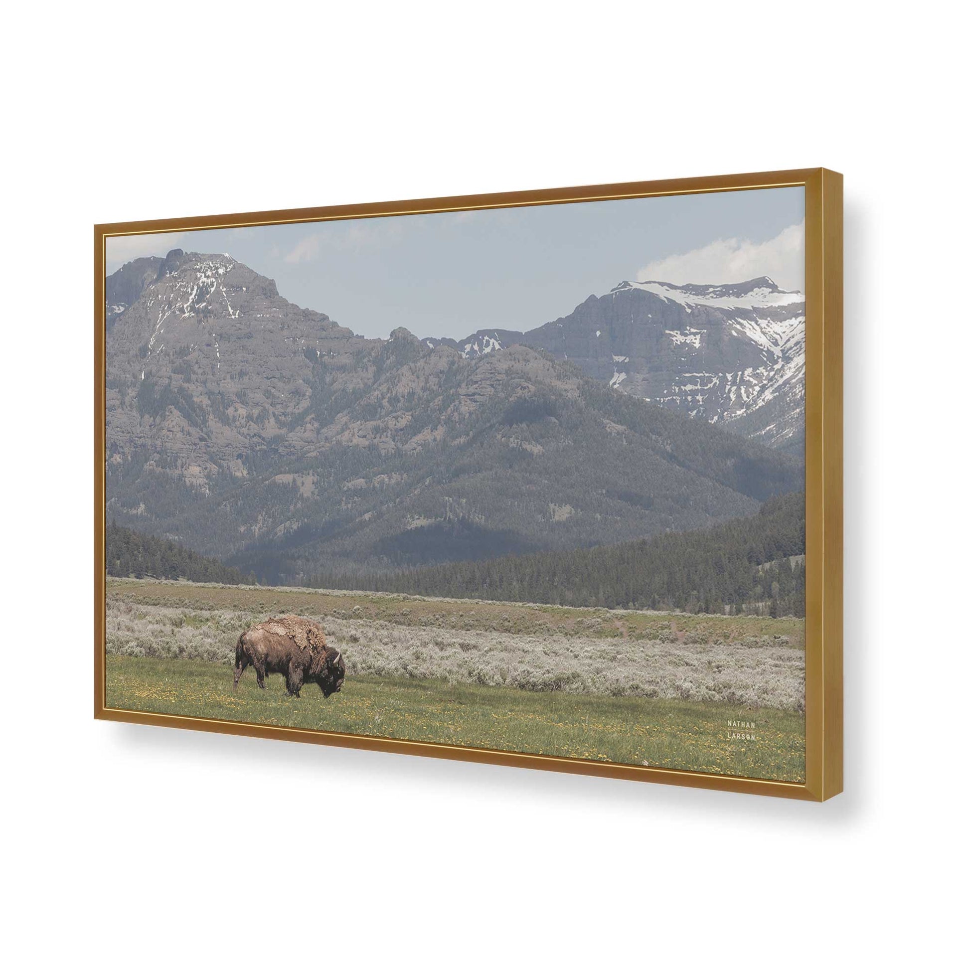[Color:Polished Gold], Picture of art in a Polished Gold frame of the corner