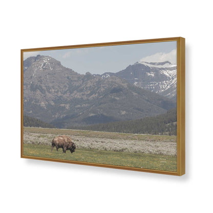 [Color:Polished Gold], Picture of art in a Polished Gold frame of the corner