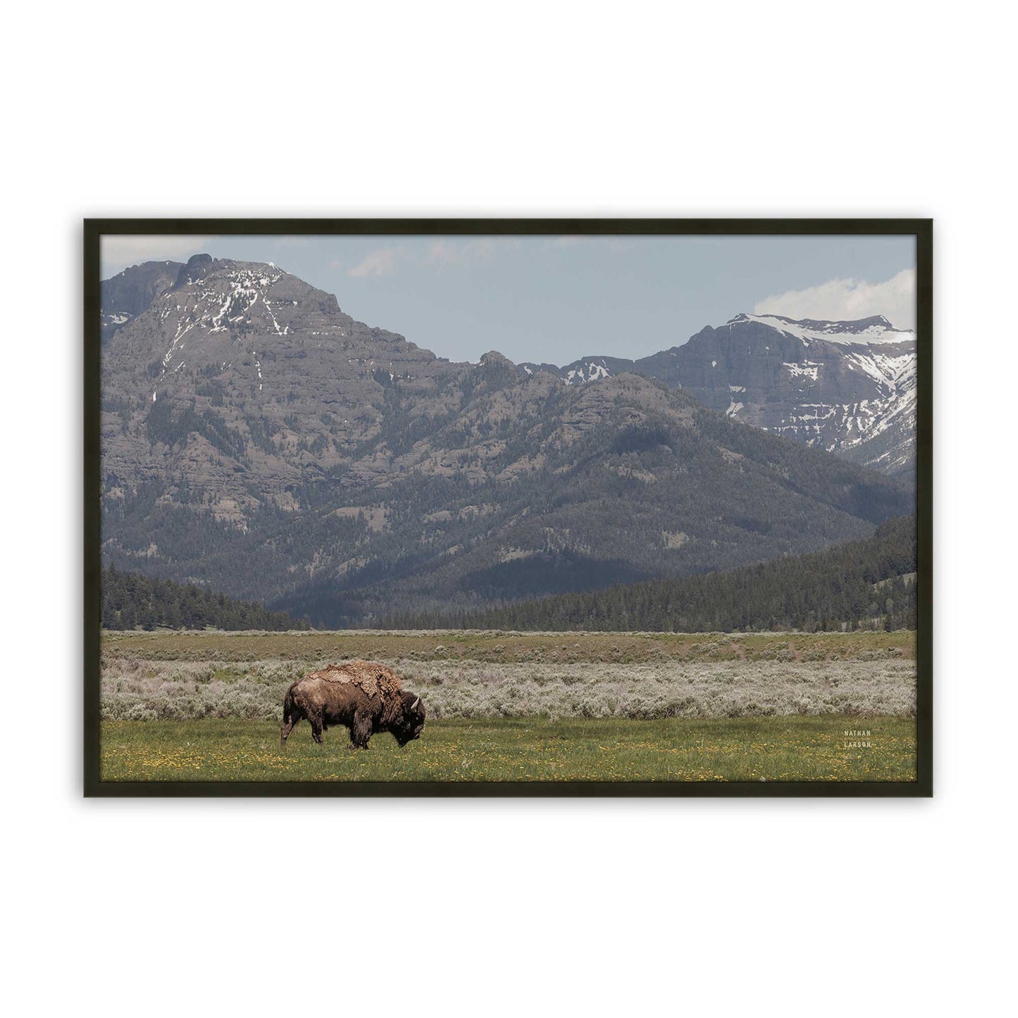 [Color:Satin Black], Picture of art in a Satin Black frame