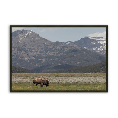 [Color:Satin Black], Picture of art in a Satin Black frame