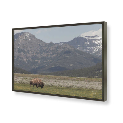 [Color:Satin Black], Picture of art in a Satin Black frame of the corner