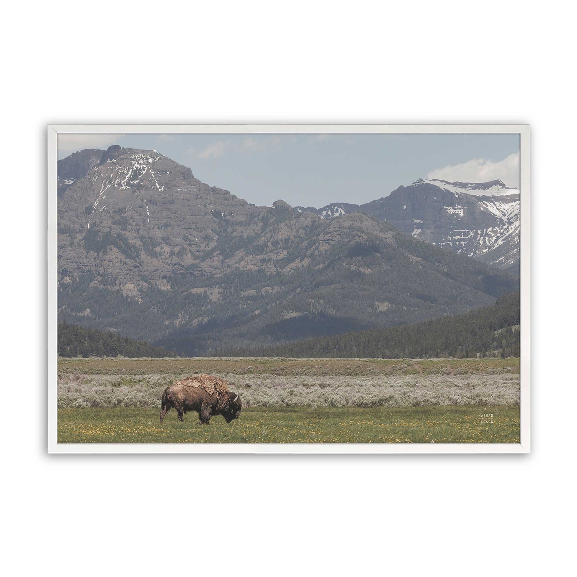 [Color:Opaque White], Picture of art in a Opaque White frame