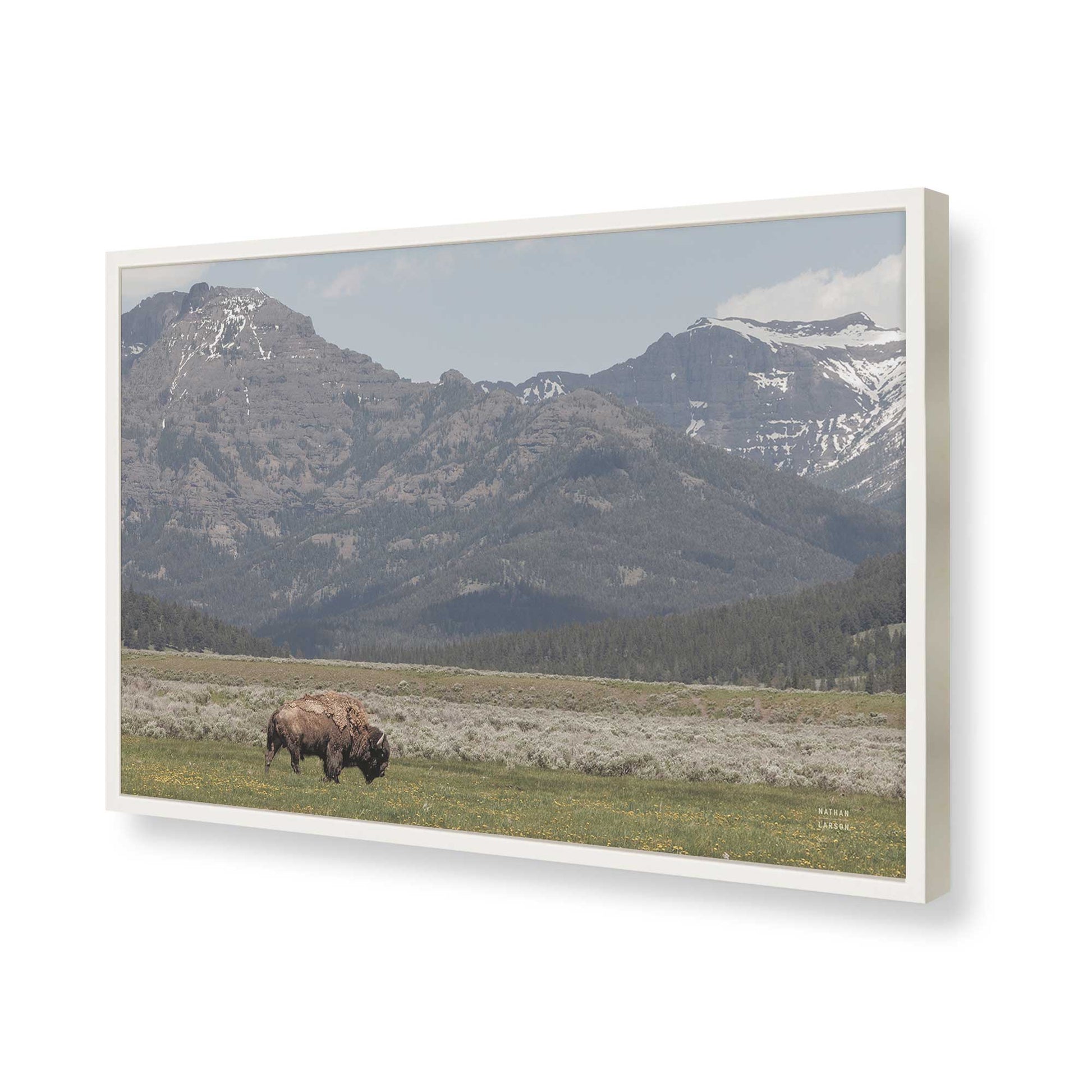 [Color:Opaque White], Picture of art in a Opaque White frame of the corner