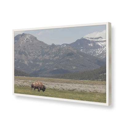 [Color:Opaque White], Picture of art in a Opaque White frame of the corner