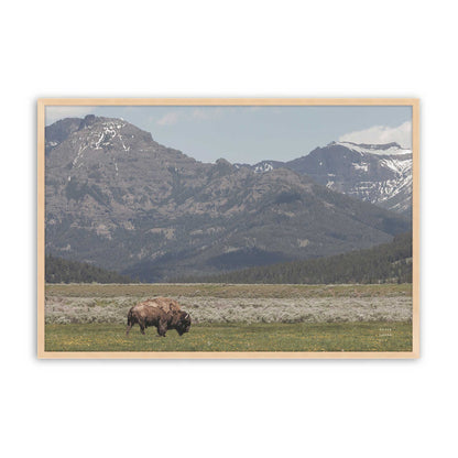 [Color:Raw Maple], Picture of art in a Raw Maple frame