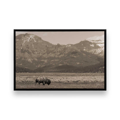 [Color:Satin Black], Front of the art