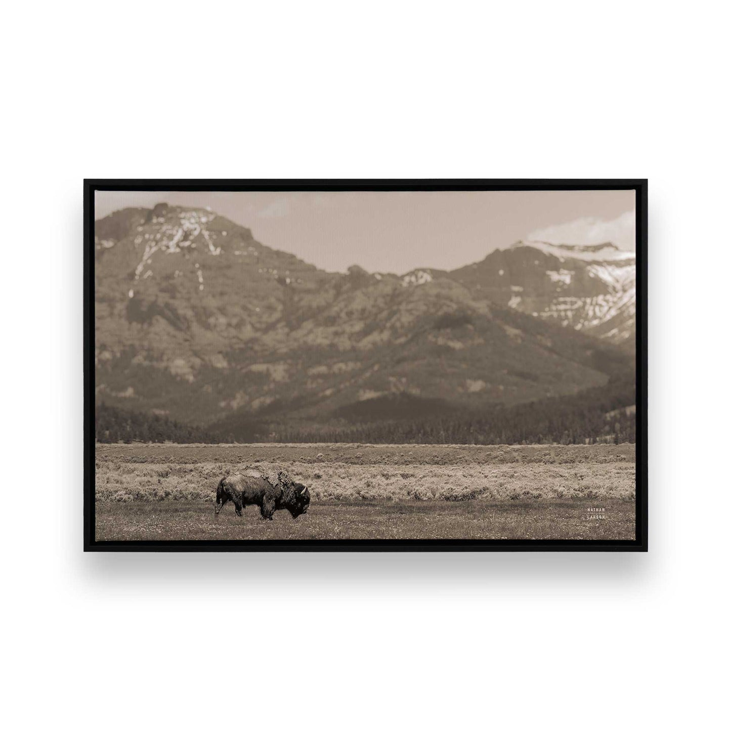 [Color:Satin Black], Picture of art in a Satin Black frame