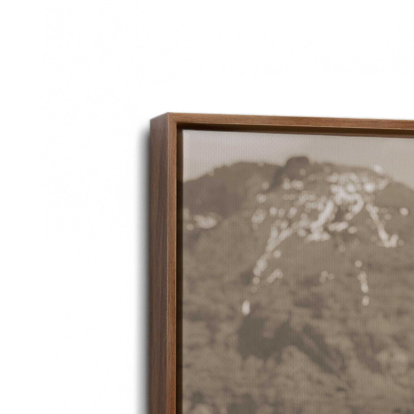 [Color:Walnut], Picture of art in a Walnut frame at an angle