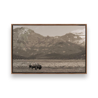 [Color:Walnut], Picture of art in a Walnut frame