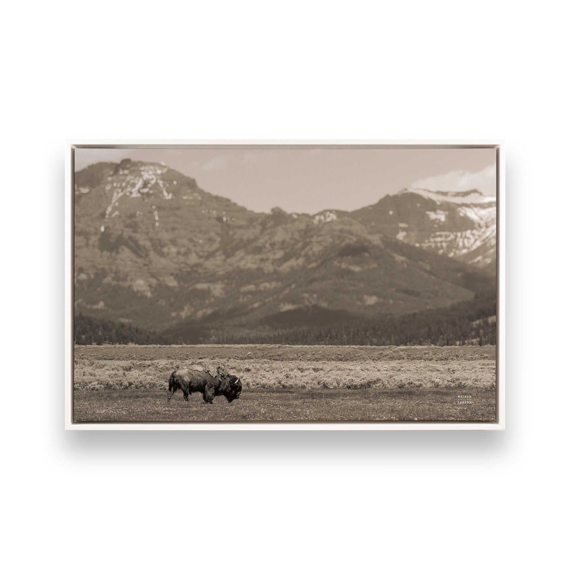 [Color:Opaque White], Picture of art in a White frame