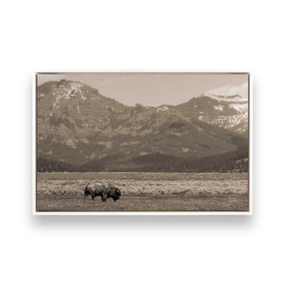 [Color:Opaque White], Picture of art in a White frame