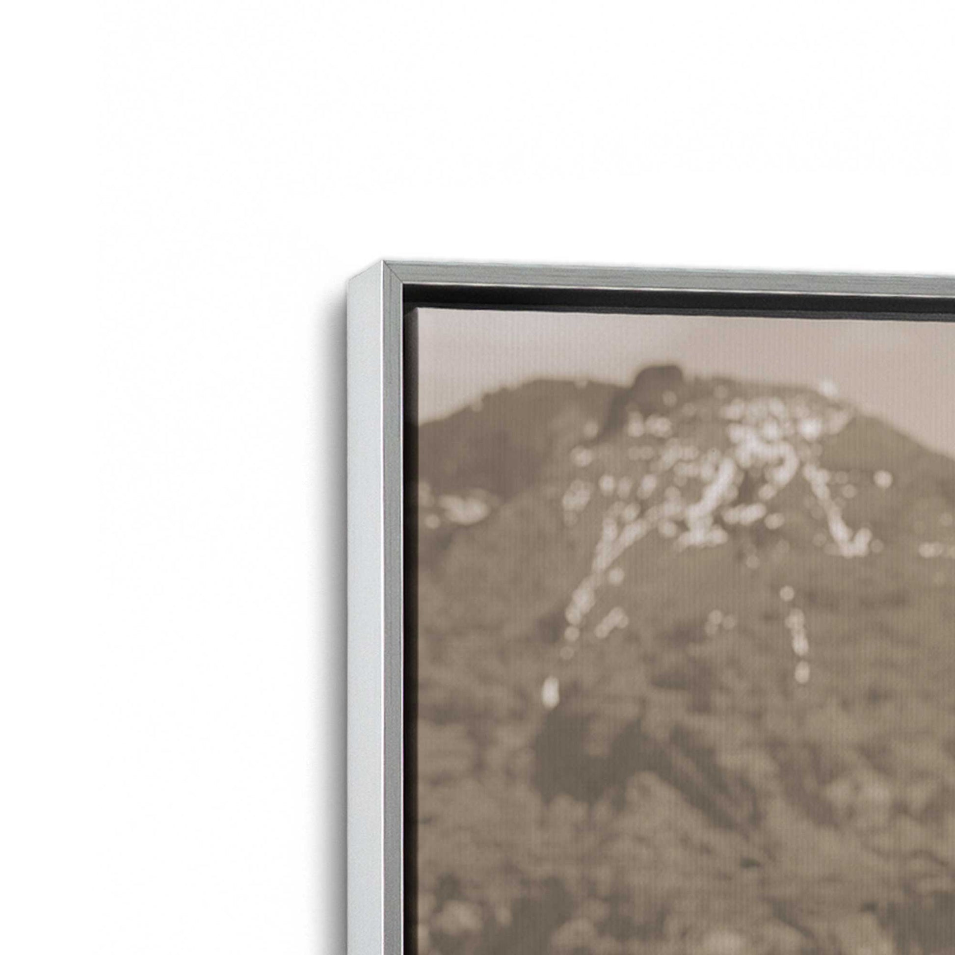 [Color:Polished Chrome], Picture of art in a Polished Chrome frame at an angle