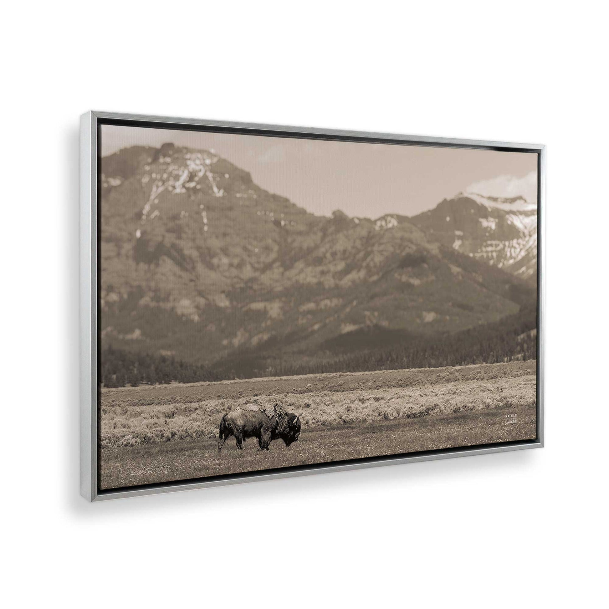 [Color:Polished Chrome], Picture of the corner of the art