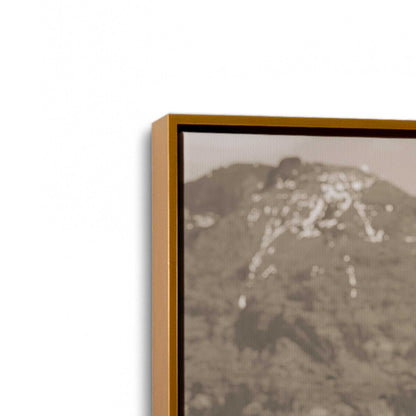 [Color:Polished Gold], Picture of art in a Polished Gold frame at an angle