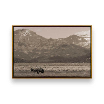 [Color:Polished Gold], Picture of art in a Polished Gold frame