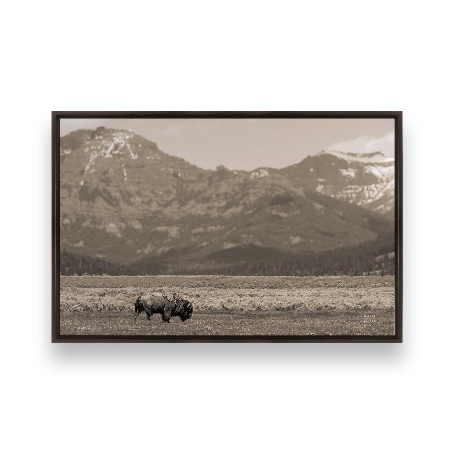 [Color:Espresso], Picture of art in a Espresso frame