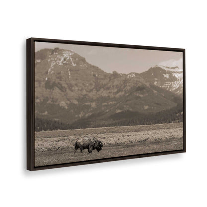 [Color:Espresso], Picture of the corner of the art