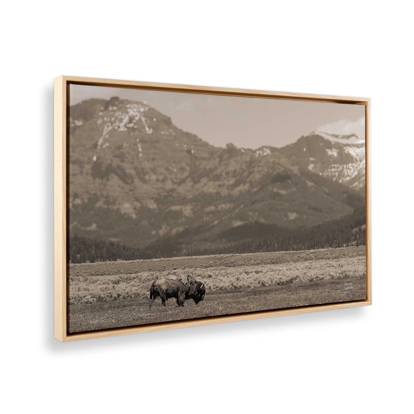 [Color:American Maple], Picture of the corner of the art