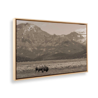 [Color:American Maple], Picture of the corner of the art