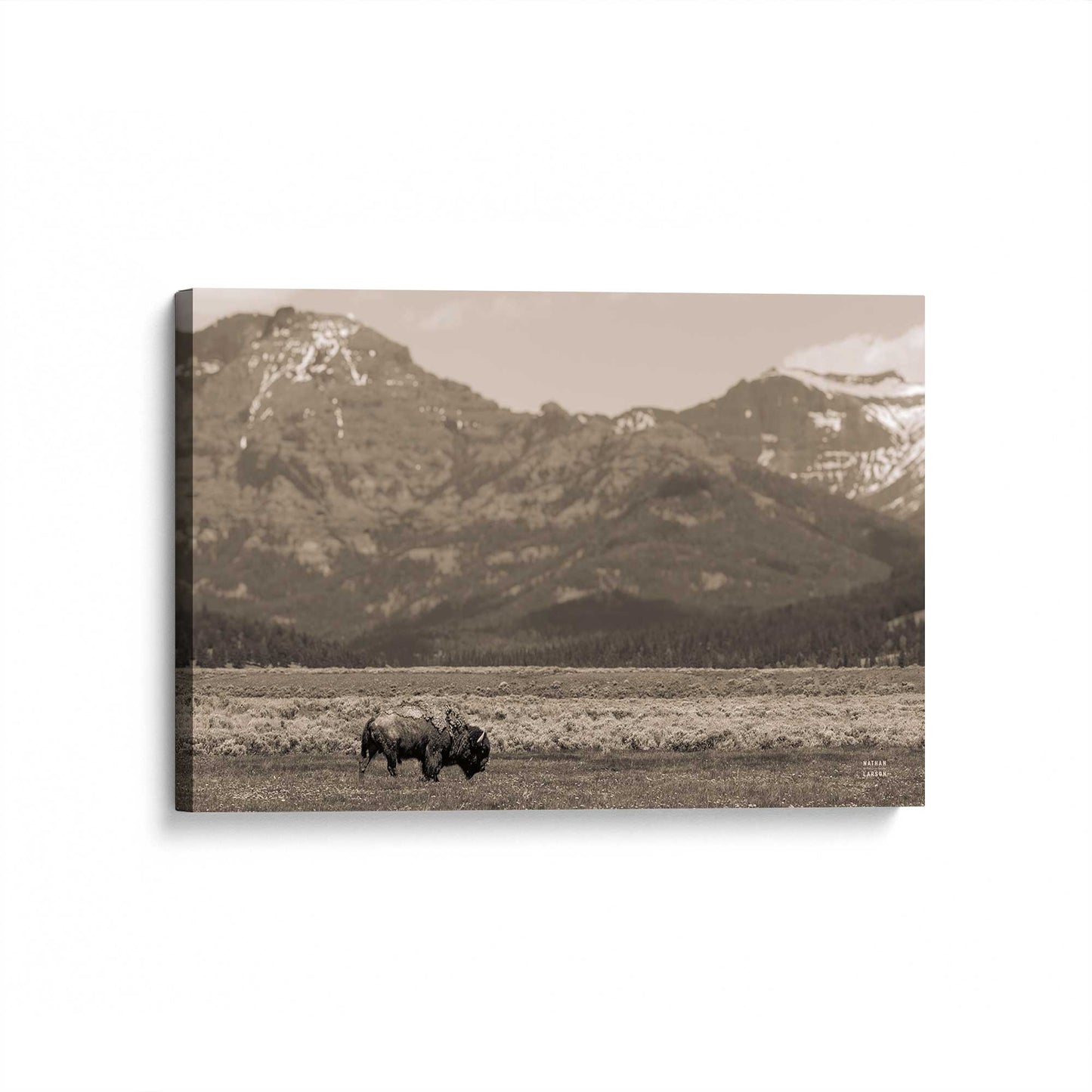 [Color:Stretched Canvas], Picture of art at an angle