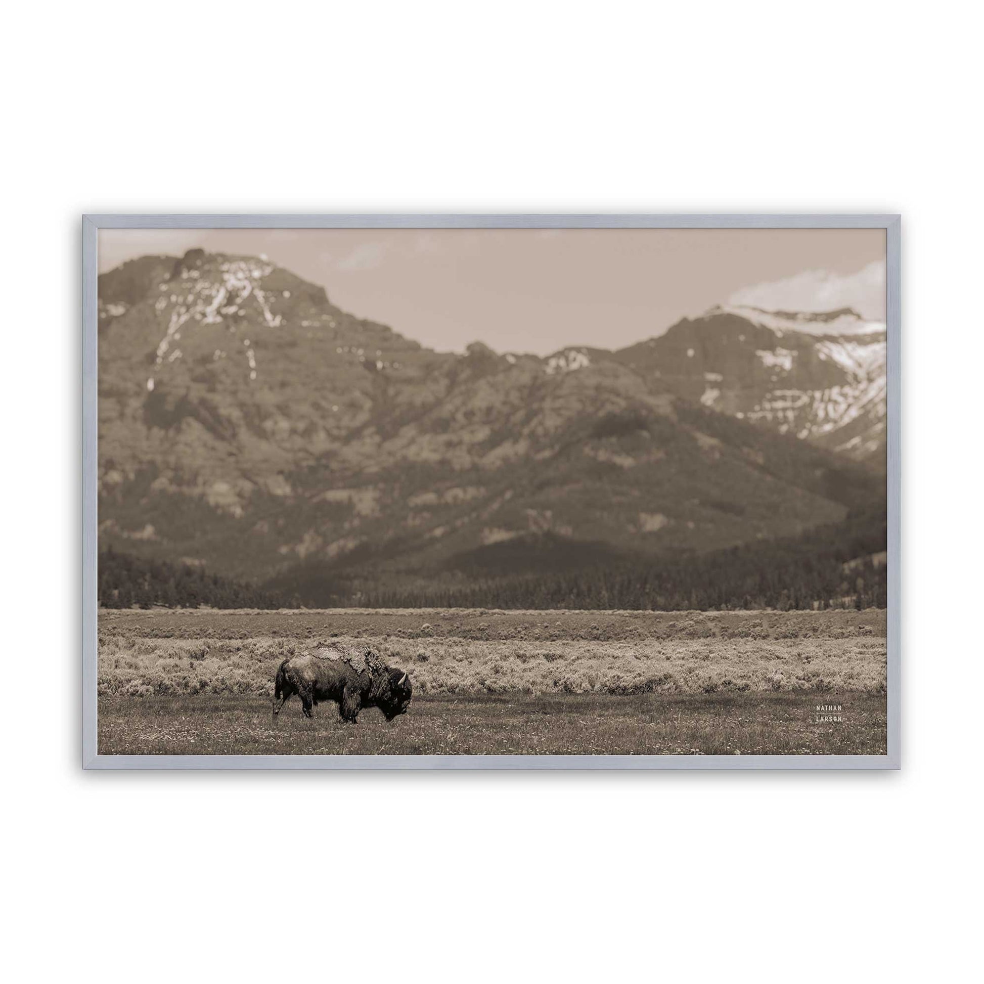 [Color:Polished Chrome], Picture of art in a Polished Chrome frame