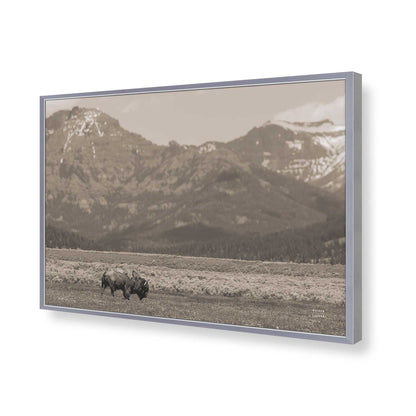 [Color:Polished Chrome], Picture of art in a Polished Chrome frame of the corner