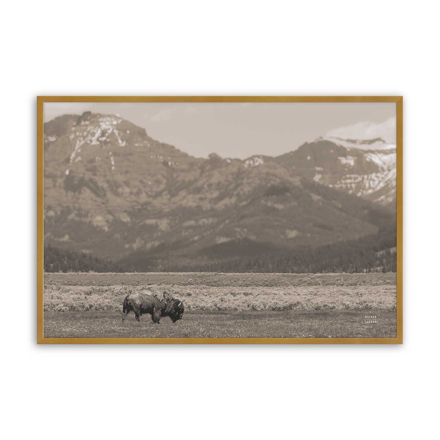 [Color:Polished Gold], Picture of art in a Polished Gold frame