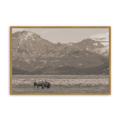 [Color:Polished Gold], Picture of art in a Polished Gold frame