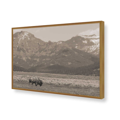[Color:Polished Gold], Picture of art in a Polished Gold frame of the corner