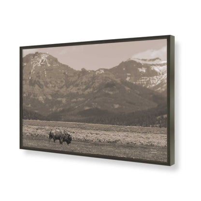 [Color:Satin Black], Picture of art in a Satin Black frame of the corner