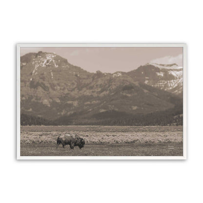 [Color:Opaque White], Picture of art in a Opaque White frame