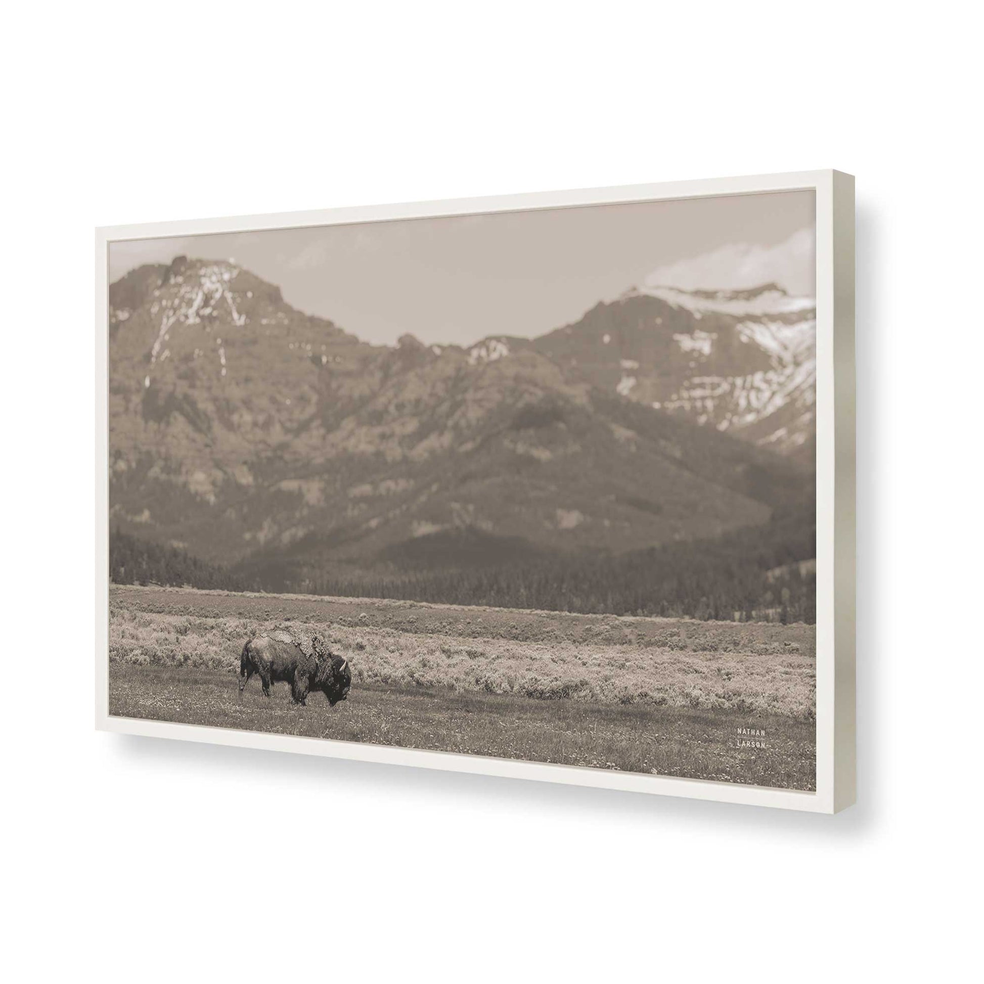 [Color:Opaque White], Picture of art in a Opaque White frame of the corner