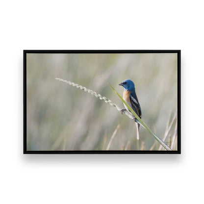 [Color:Satin Black], Picture of art in a Satin Black frame